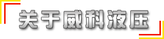 供應國標、非標315噸液壓機